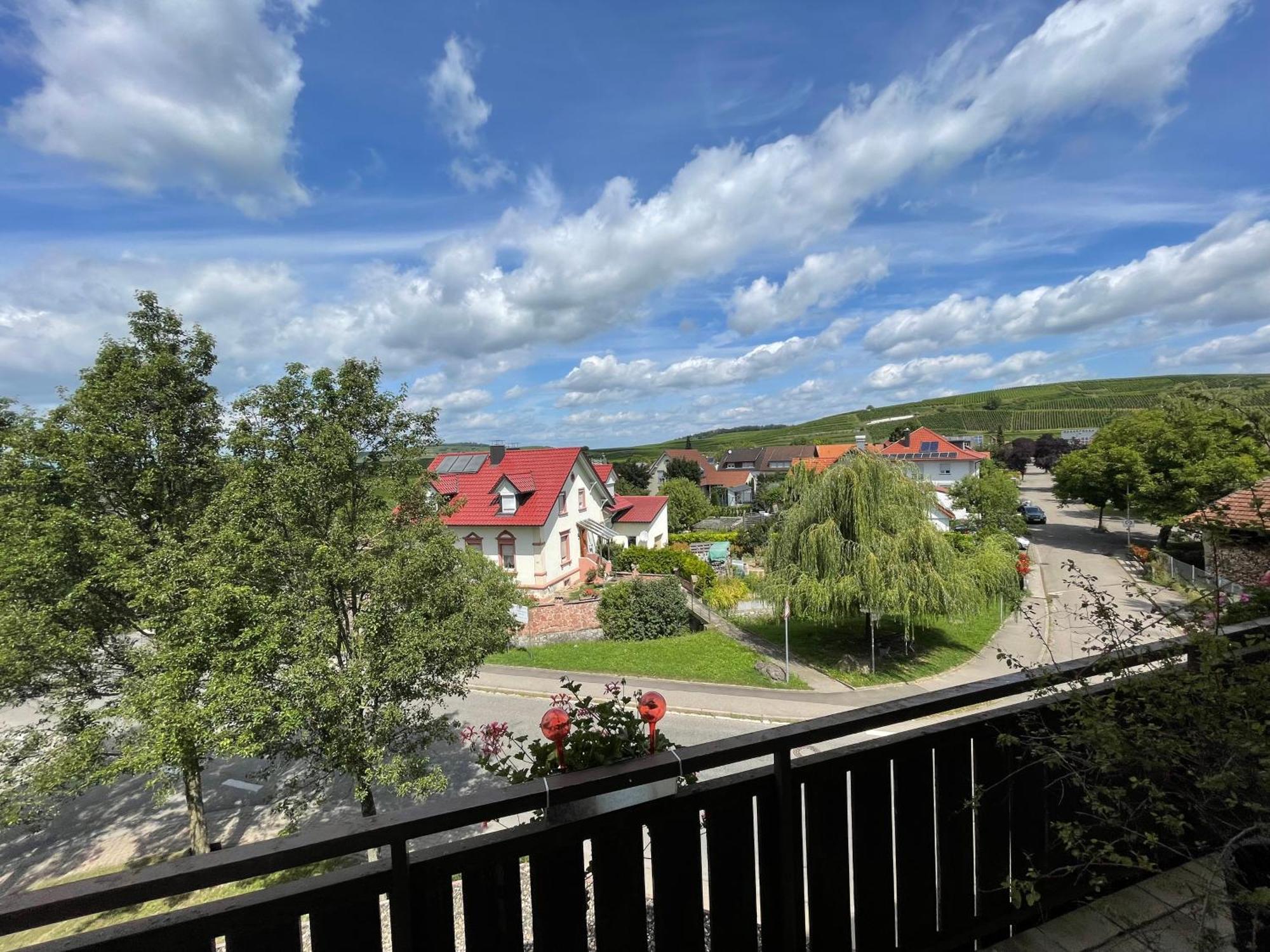 Zum Rayers Cafe-Restaurant & Boutique-Hotel Niederrotweil エクステリア 写真